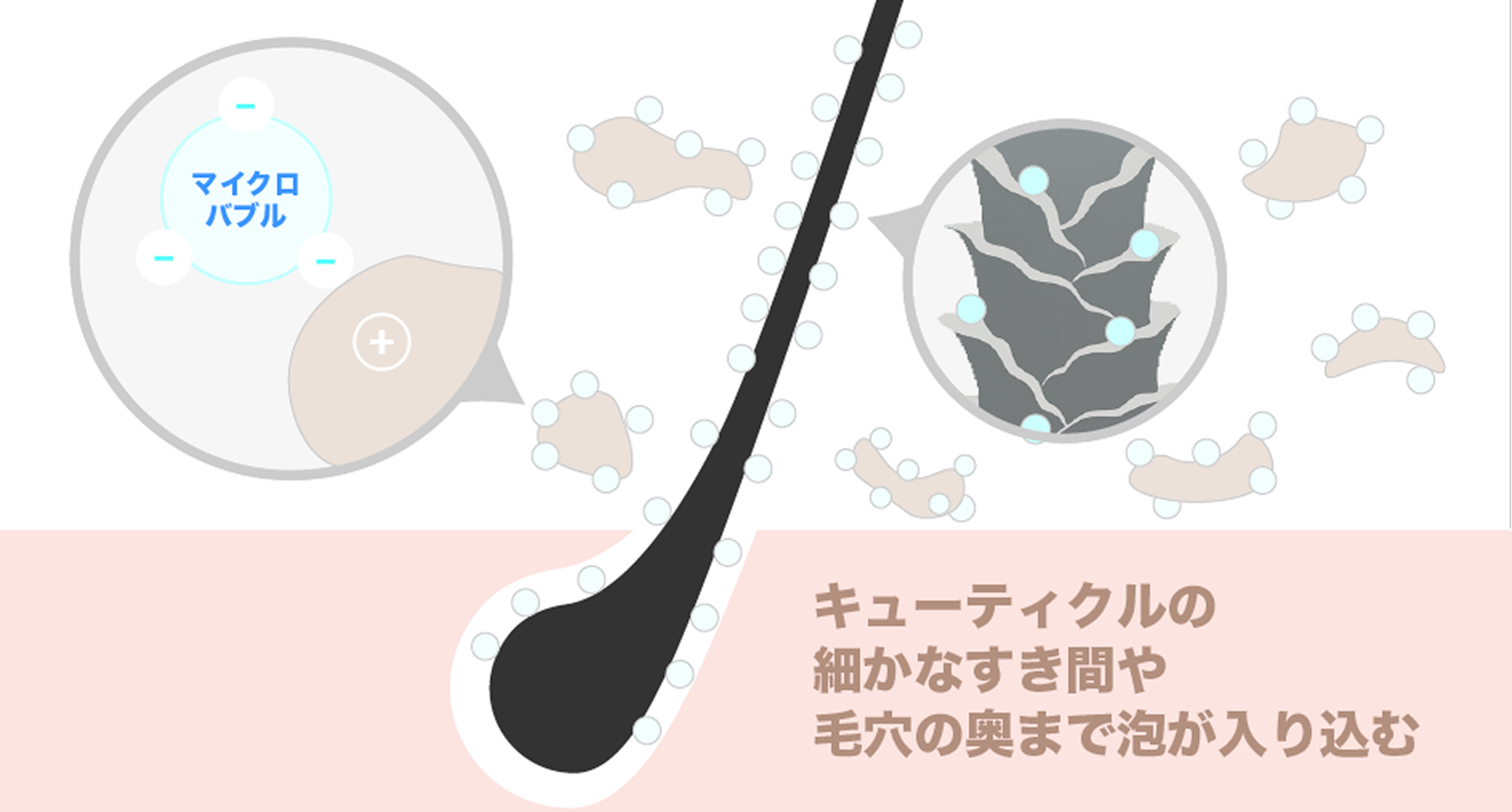 マイクロバブル断面図