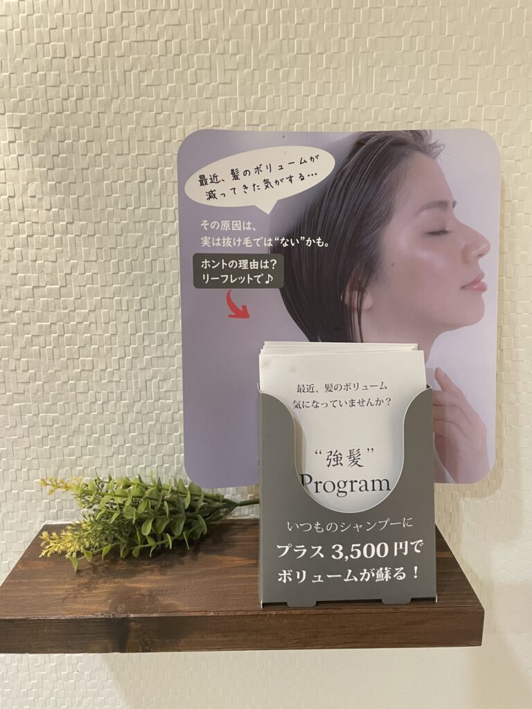 強髪プログラム
